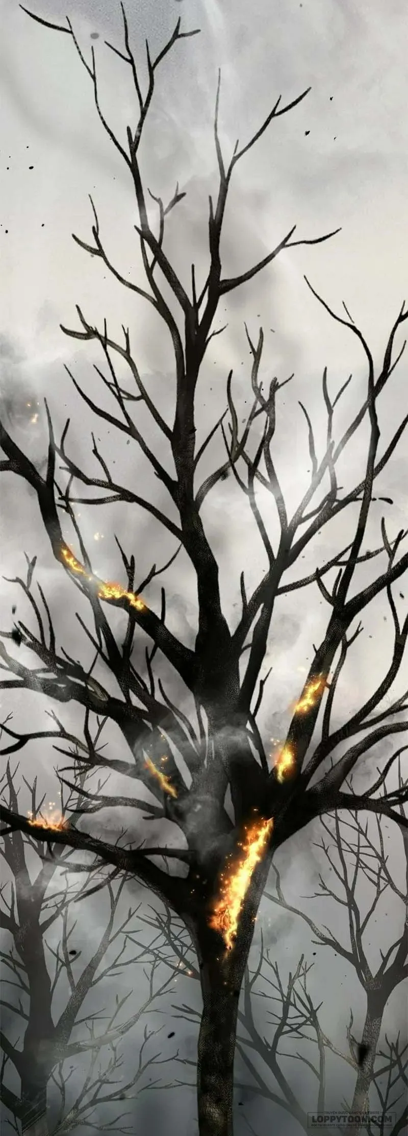 Presepe Bên Ngoài Chiếc Lồng Chap 46 - trang 73