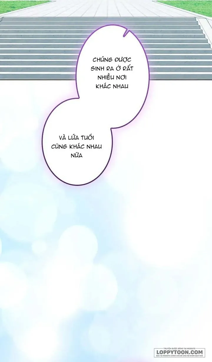 Không Cần Hối Hận Chap 29 - trang 15