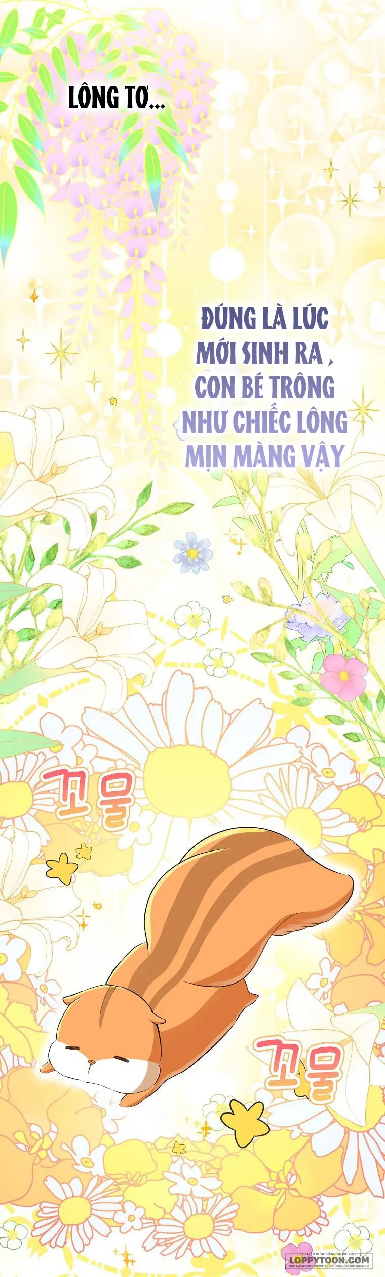 Sóc Con Tài Năng Chap 43 - trang 26