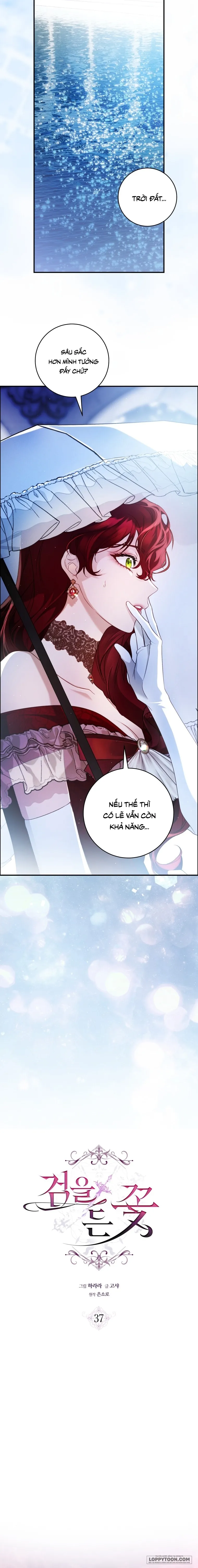 Đóa Hoa Cầm Kiếm Chap 37 - trang 5