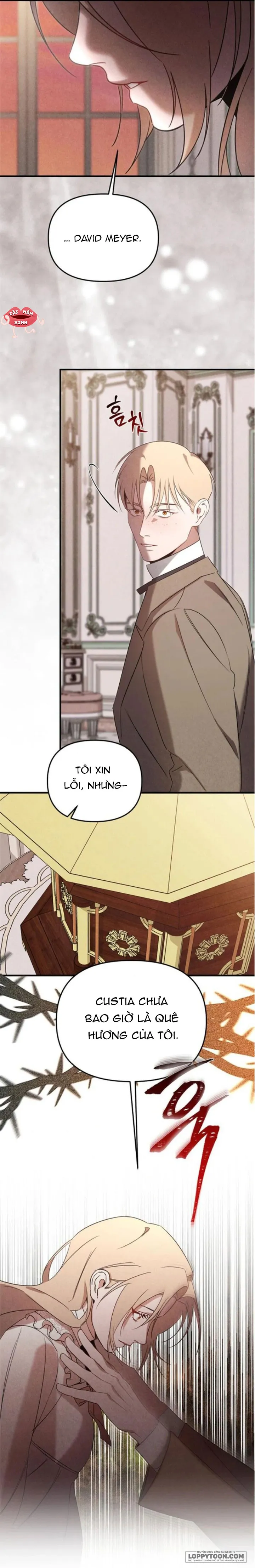 Nơi Đóa Hồng Vàng Úa Tàn Chap 23 - trang 5