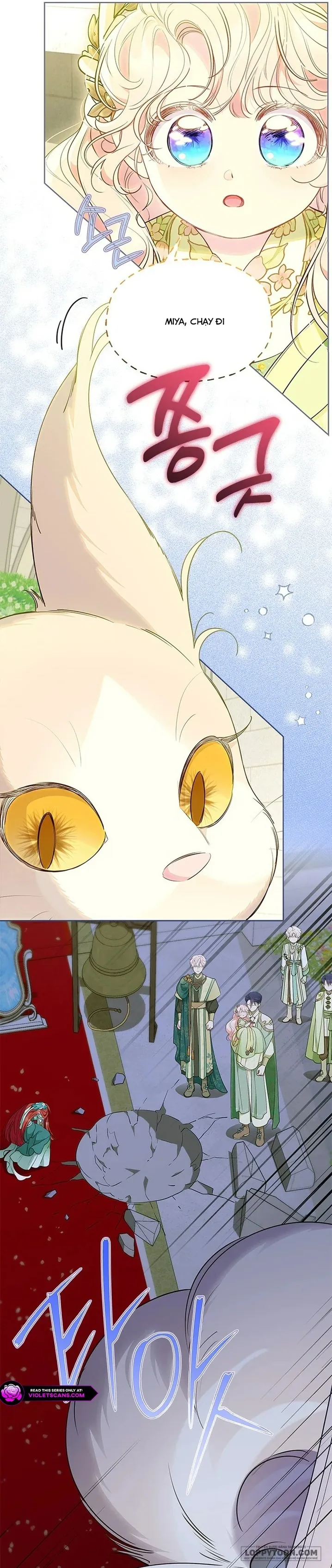 Đã Từ Chối Sủng Ái Rồi Mà Sao Còn Ám Ảnh Thế? Chap 46 - trang 49
