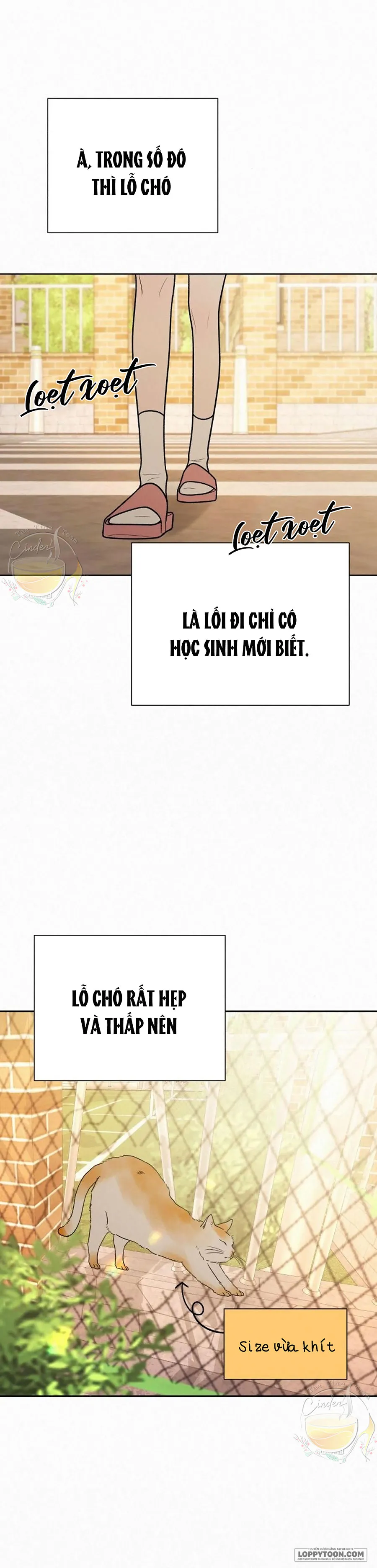 Chiến Lược Tình Yêu Trong Sáng Chap 44 - trang 21