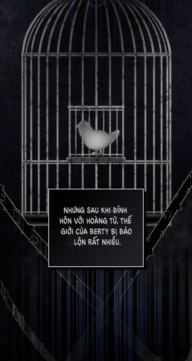 Sóc Con Tài Năng Chap 1 - trang 49