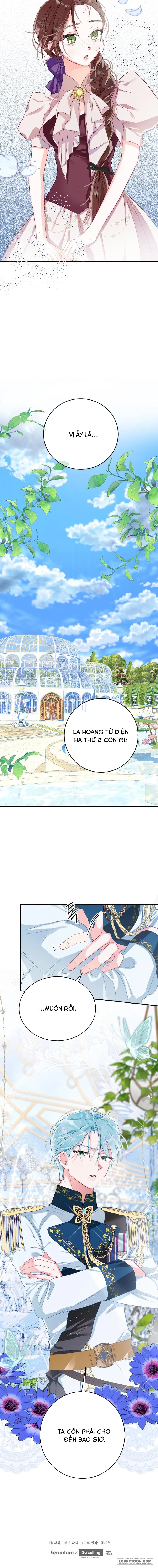 Bạn Sẽ Chết Nếu Không Biết Luật Tiểu Thuyết Chap 2 - trang 16