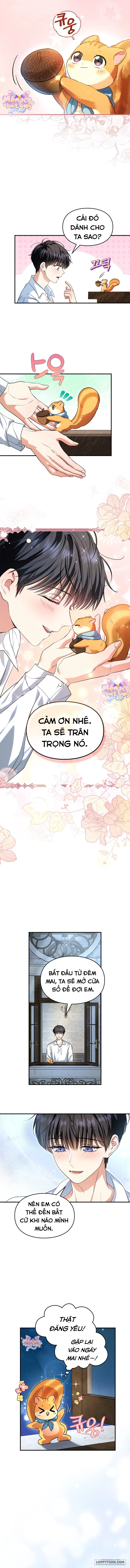 Trở Thành Sóc Nhỏ Của Kẻ Phản Diện Chap 2 - trang 9