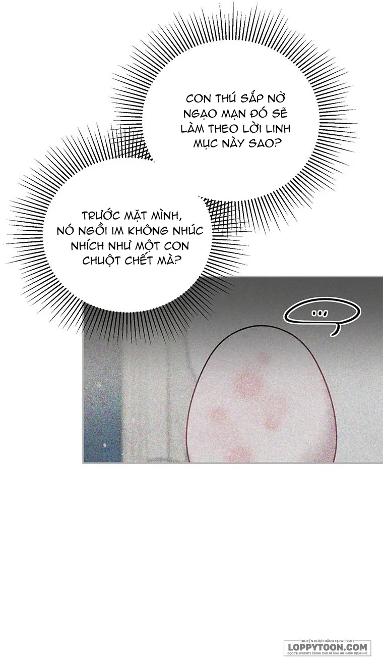 Phía Sau Mặt Nạ Của Nam Chính Hiền Lành Chap 10 - trang 4