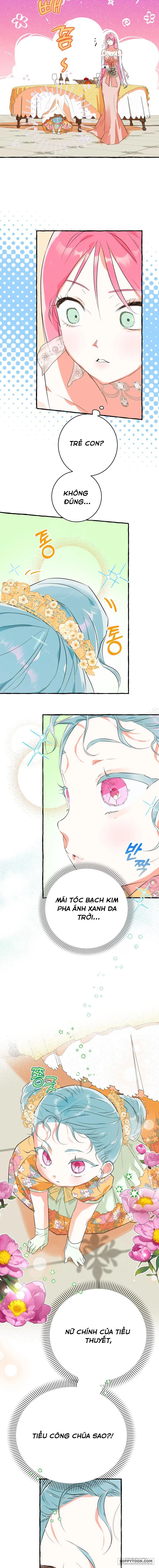 Bạn Sẽ Chết Nếu Không Biết Luật Tiểu Thuyết Chap 8 - trang 11