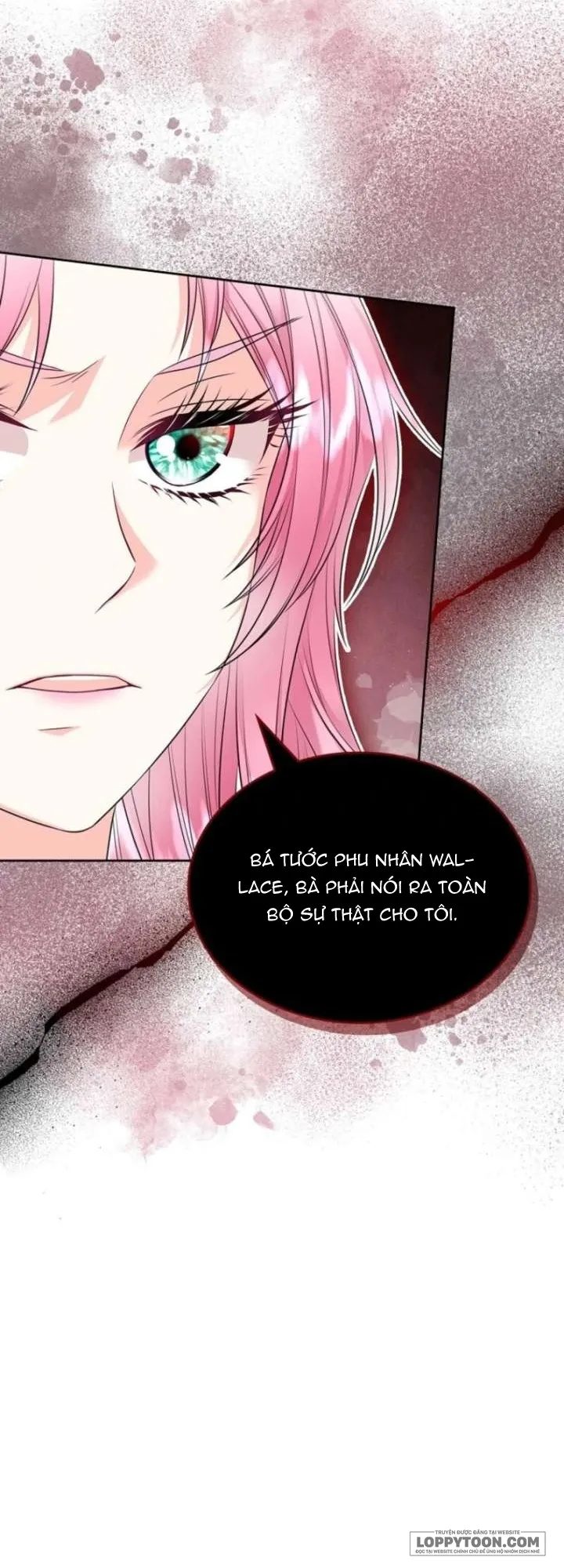 Tôi Sẽ Ly Hôn Với Anh Trai Nữ Chính Chap 88 - trang 19