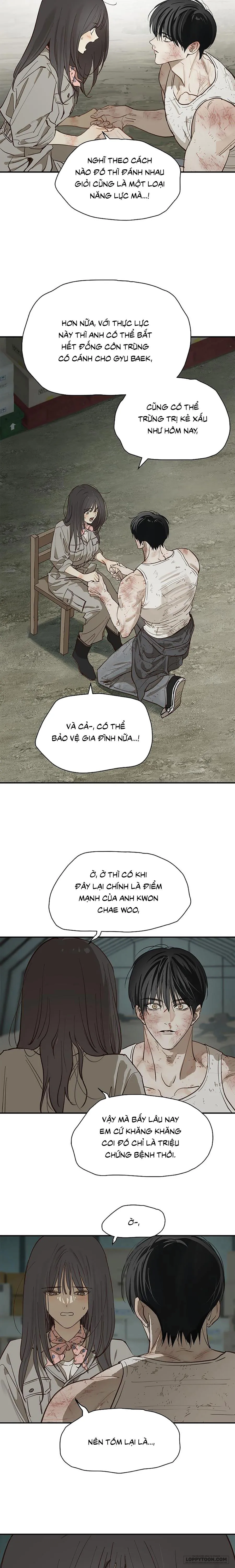 Đóa Hoa Là Mồi Nhử Chap 42 - trang 3