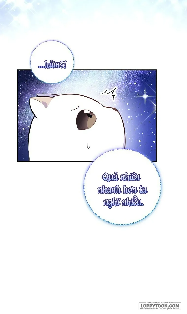 Sóc Con Tài Năng Chap 13 - trang 49