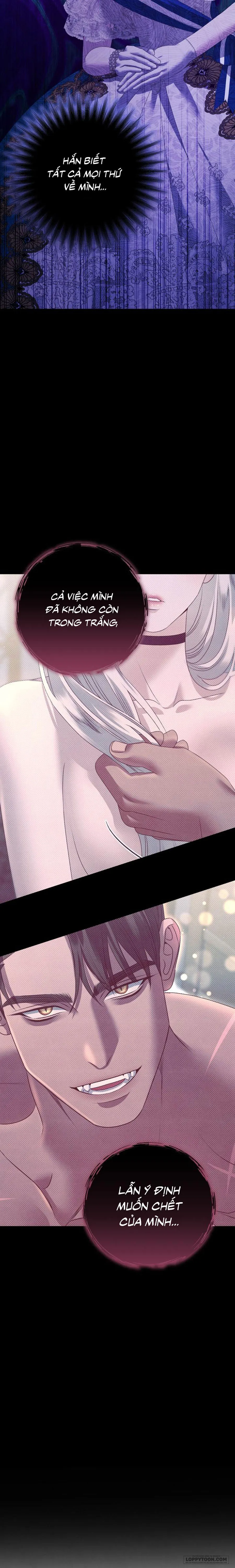 Cuộc Hôn Nhân Bị Cướp Đoạt Chap 9 - trang 21
