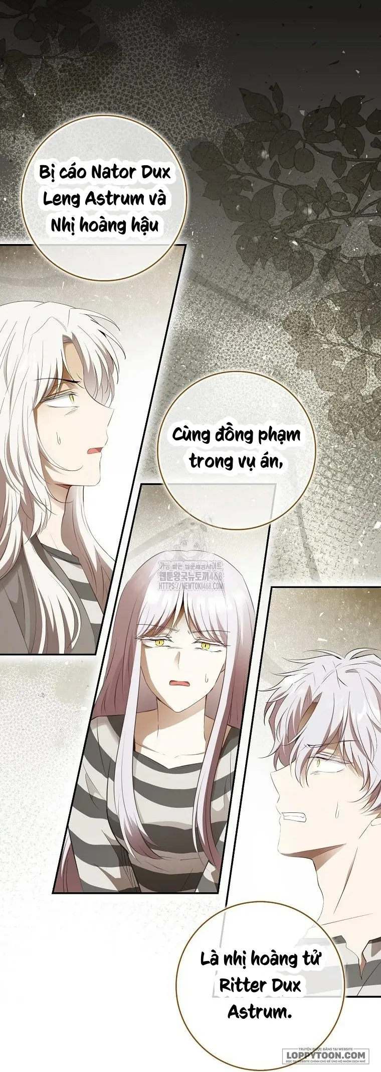 Sóc Con Tài Năng Chap 118 - trang 3