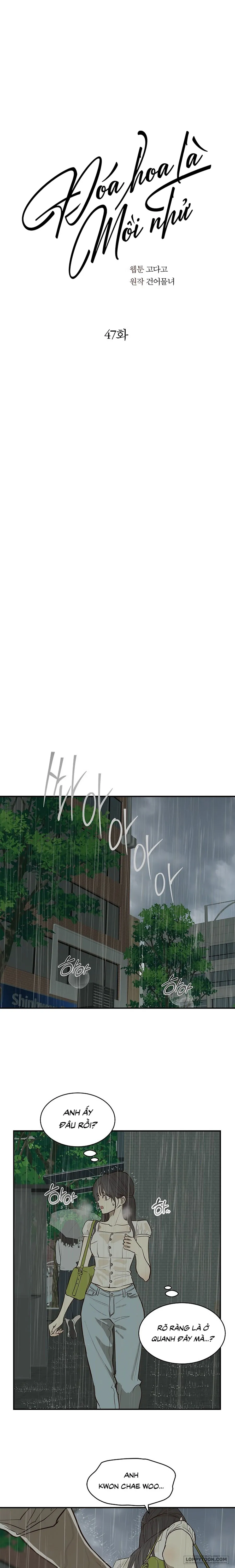 Đóa Hoa Là Mồi Nhử Chap 47 - trang 1