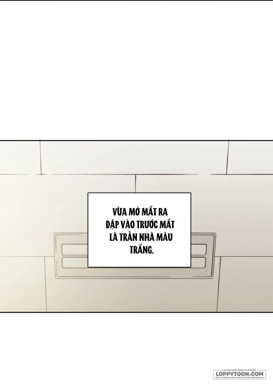 Thanh Xuân Của Chúng Ta Chap 8 - trang 24