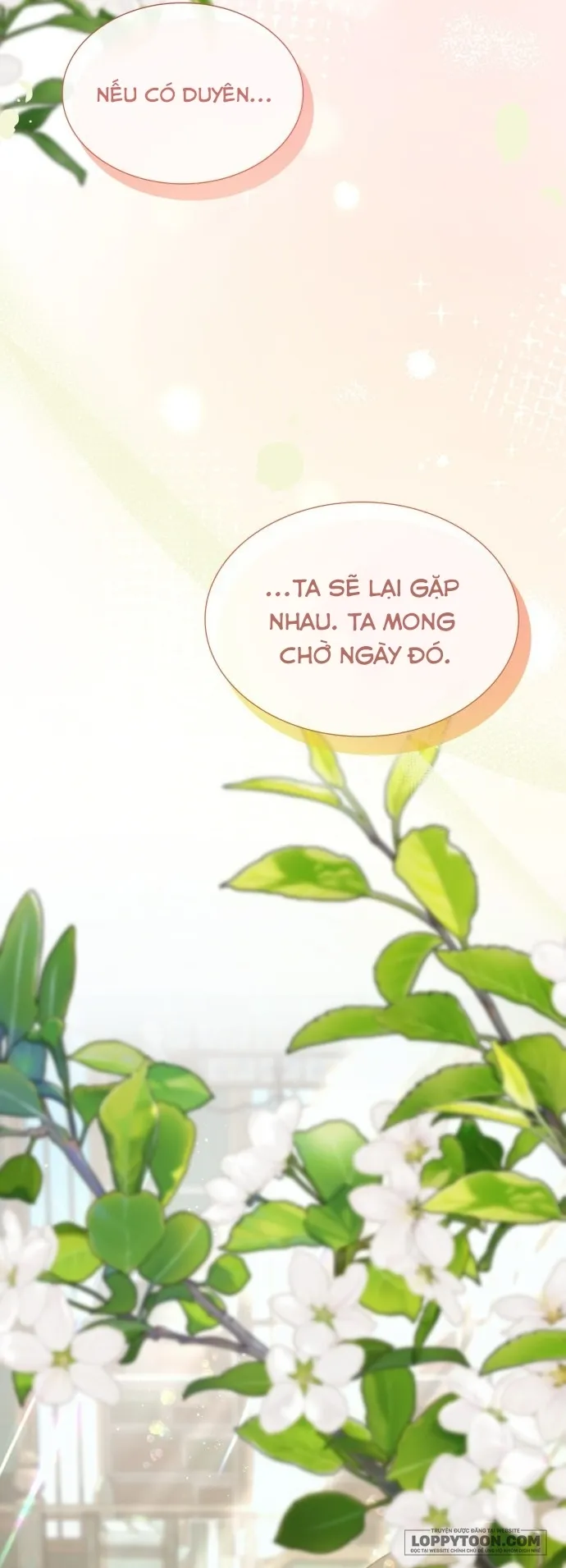 Tôi Được Sinh Ra Là Cô Con Gái Thứ Hai Chap 83 - end ss2 - trang 47