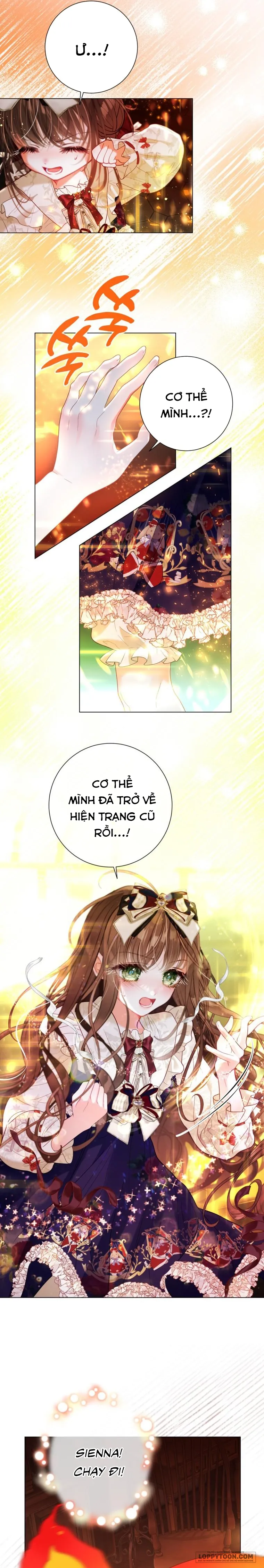 Một Thế Giới Không Có Chị Gái Mà Ai Cũng Yêu Chap 38 - trang 21