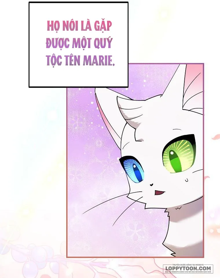 Trở Thành Miêu Nữ Của Hoàng Đế Chap 3 - trang 31