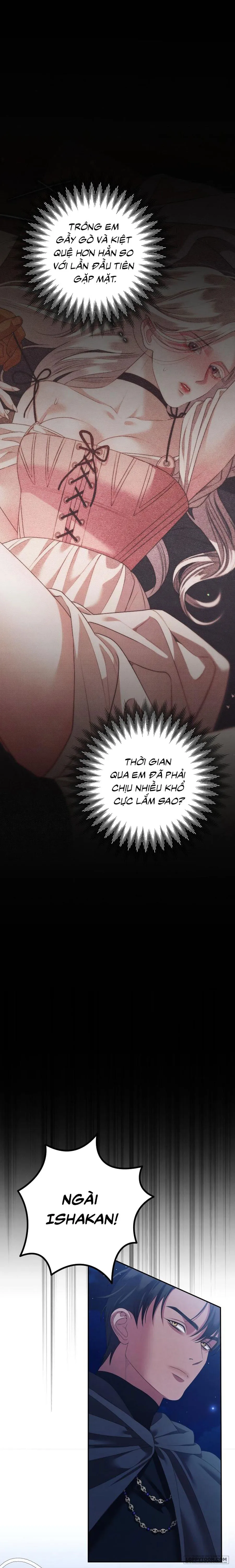Cuộc Hôn Nhân Bị Cướp Đoạt Chap 8 - trang 23