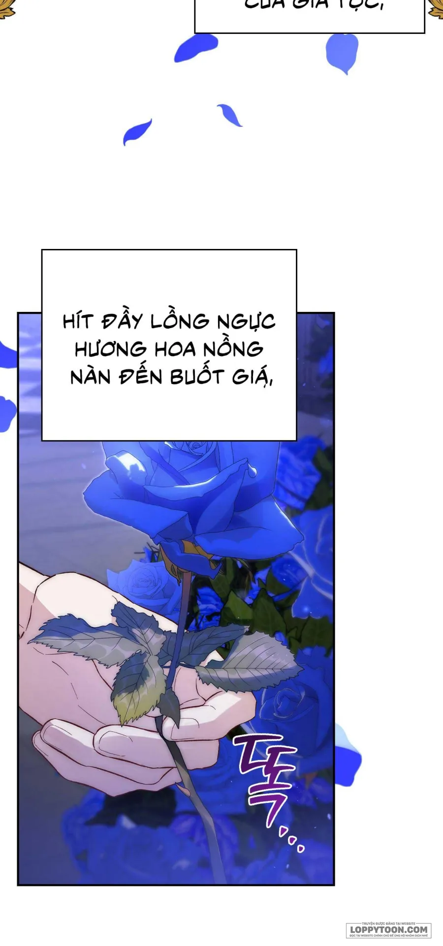 Ủa, Sao Thể Loại Này Khác Biệt Quá Vậy? Chap 8 - trang 7