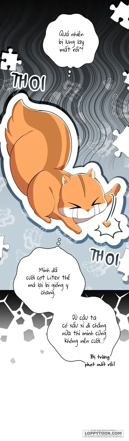 Sóc Con Tài Năng Chap 52 - trang 23