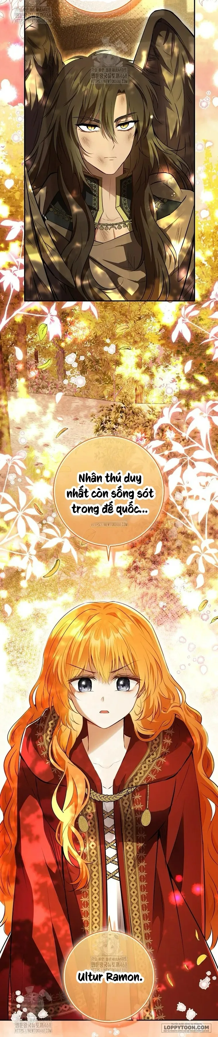 Sóc Con Tài Năng Chap 113 - trang 33
