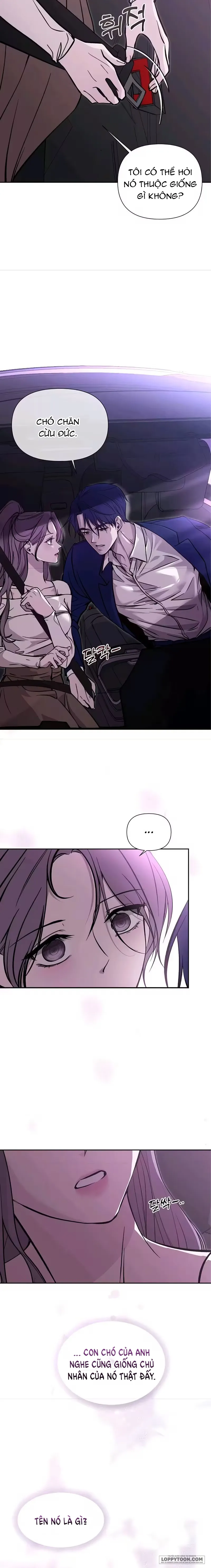 Cắn Xé Và Lừa Dối Chap 4 - trang 8