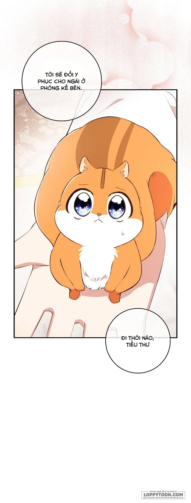 Sóc Con Tài Năng Chap 6 - trang 11