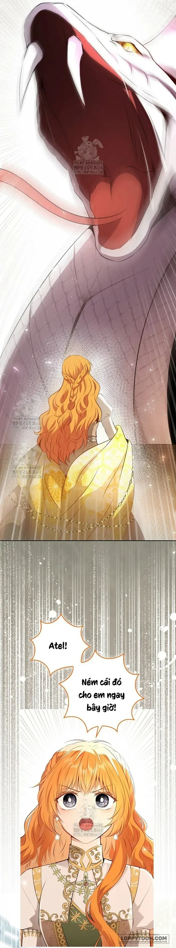 Sóc Con Tài Năng Chap 117 - trang 43