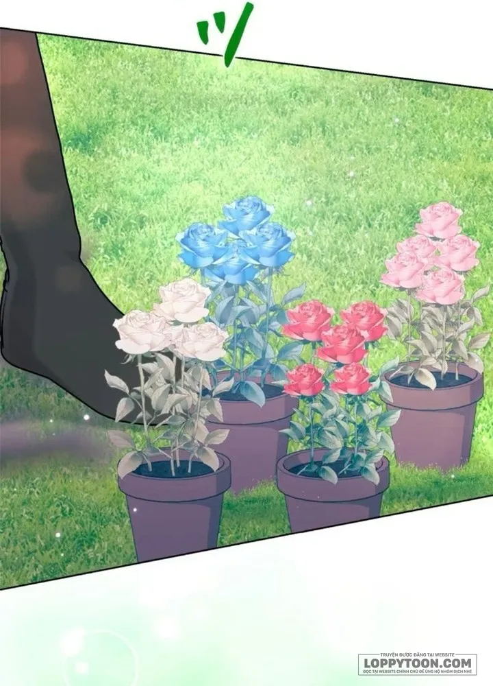 Không Cần Hối Hận Chap 25 - trang 68