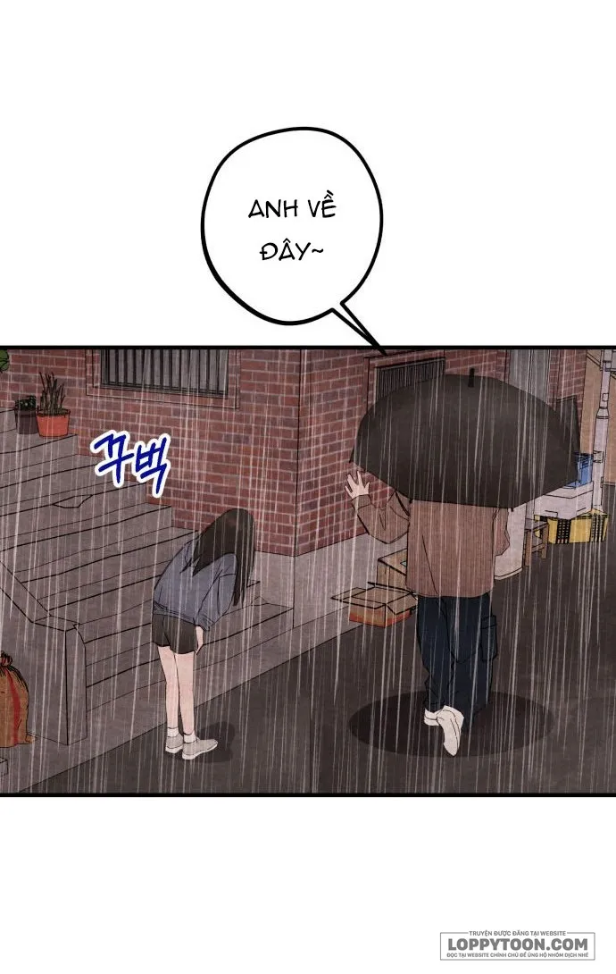 Bộ Mặt Che Giấu Của Tiền Bối Hoàn Hảo Chap 20 - 20. Lời nói dối của tiền bối hoàn hảo - trang 25