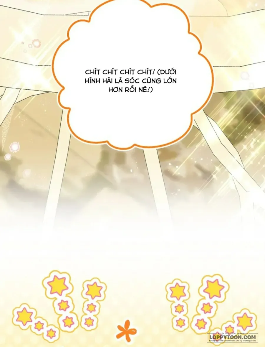 Sóc Con Tài Năng Chap 100 - trang 26