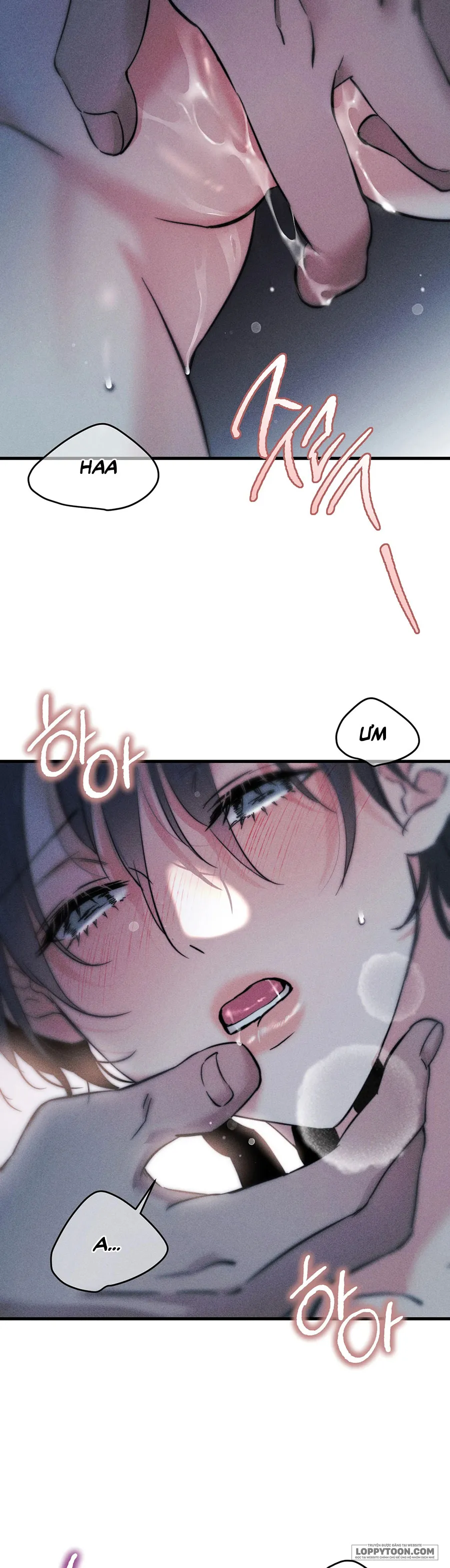 Những Ngày Cỏ Ba Lá Chap 6 - trang 30