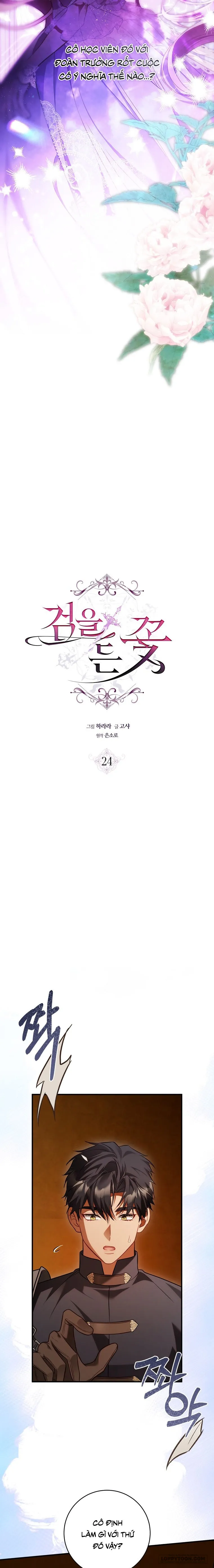 Đóa Hoa Cầm Kiếm Chap 24 - trang 5