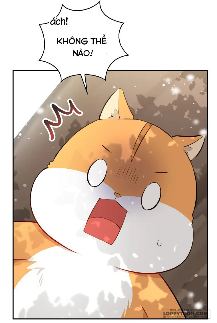 Sóc Con Tài Năng Chap 22 - trang 49