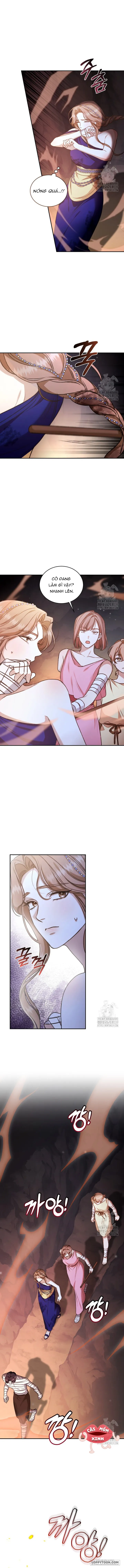 Khu Rừng Hoang Dã Chap 31 - trang 5