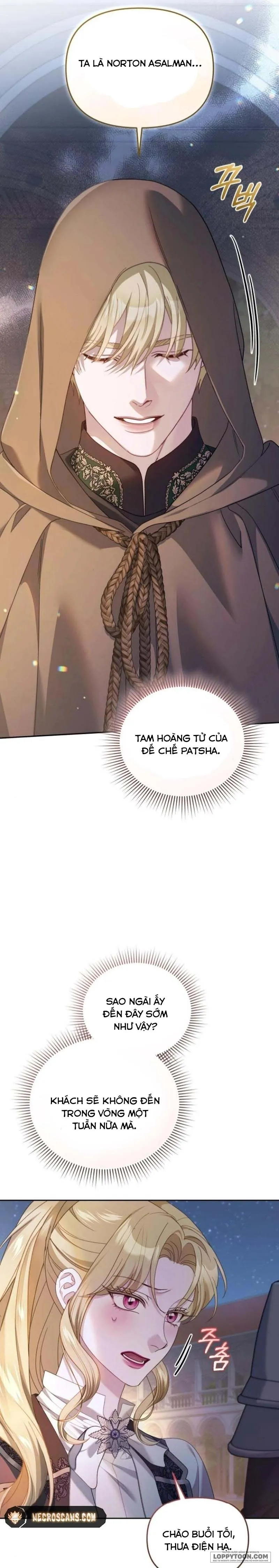 Tôi Đã Trải Qua Đêm Đầu Tiên Dù Chỉ Là Hoàng Hậu Thay Thế Chap 29 - trang 11