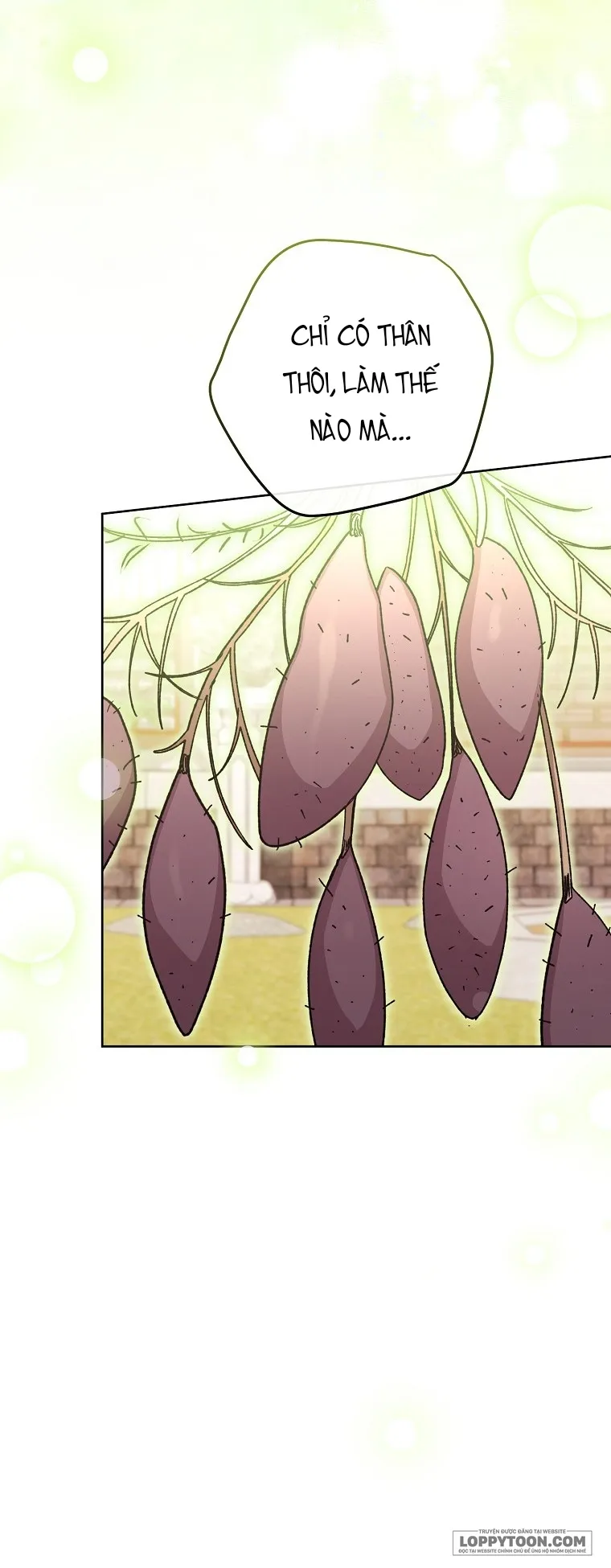 Tiểu Thiếp Chỉ Muốn Sống Yên Bình Chap 44 - trang 26