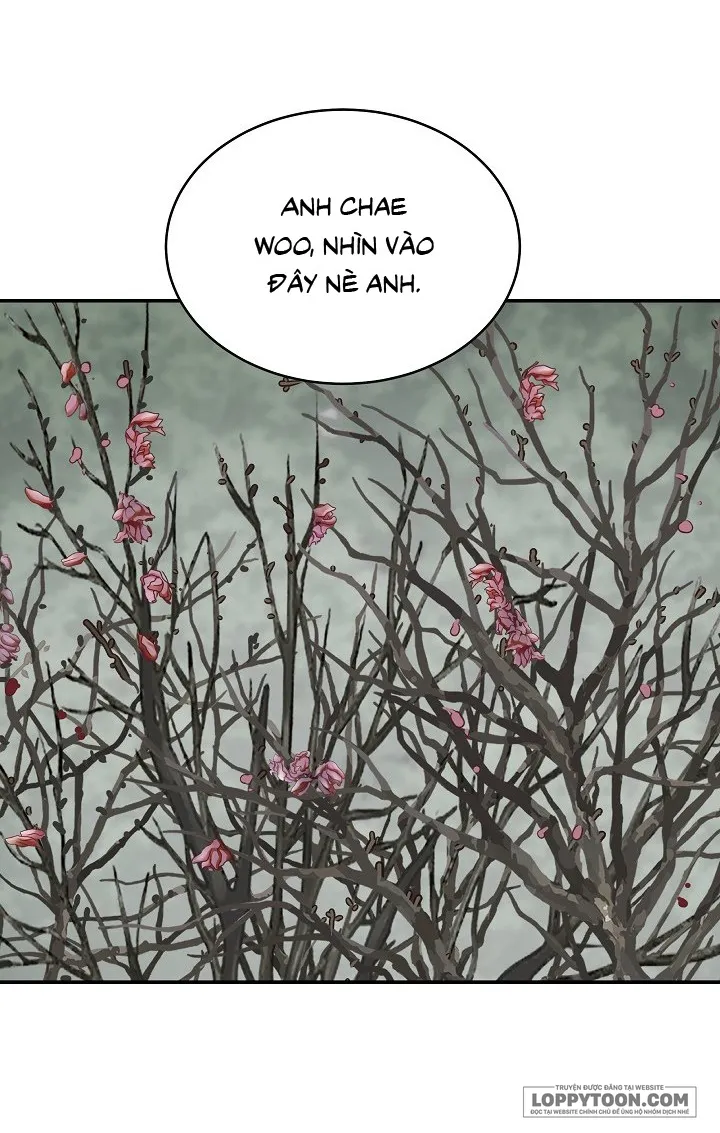 Đóa Hoa Là Mồi Nhử Chap 55 - trang 2