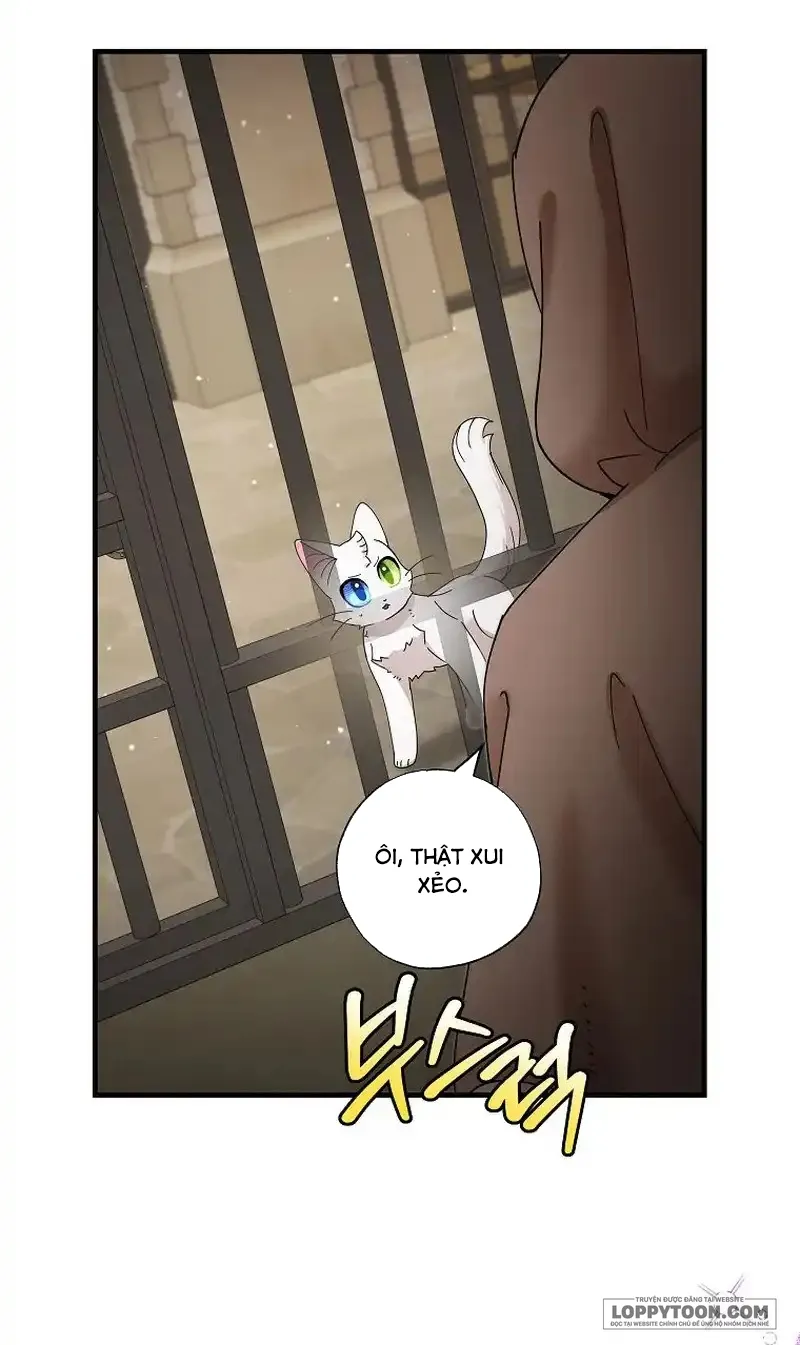 Trở Thành Miêu Nữ Của Hoàng Đế Chap 25 - trang 3