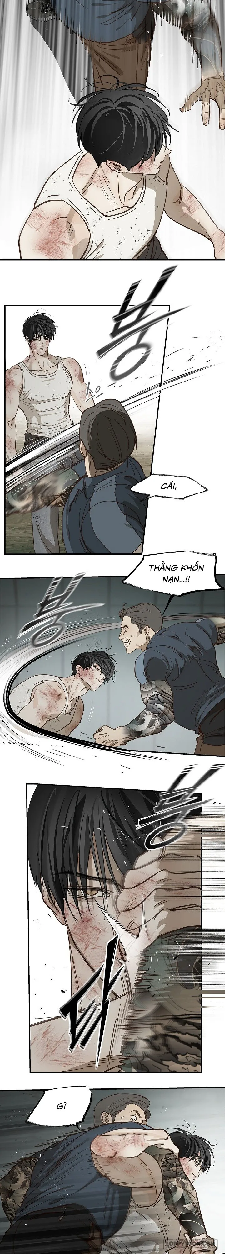 Đóa Hoa Là Mồi Nhử Chap 41 - trang 25