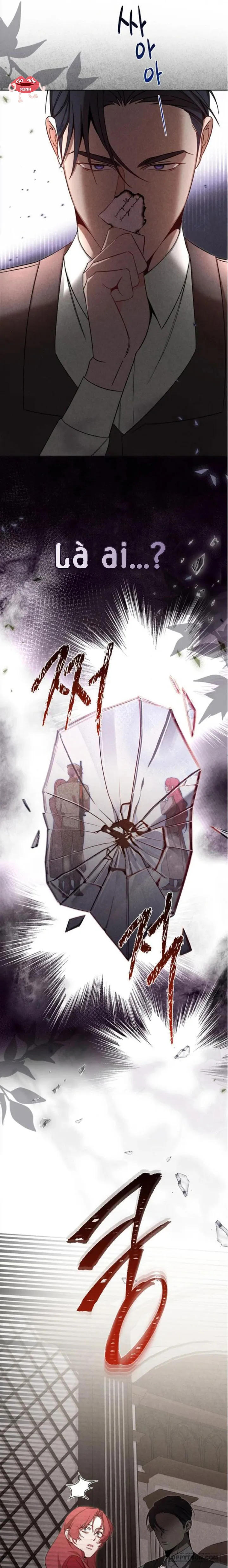 Nơi Đóa Hồng Vàng Úa Tàn Chap 21 - trang 7