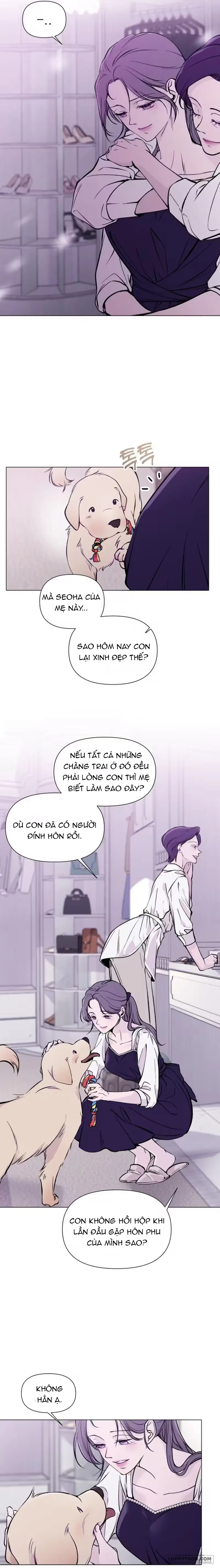 Cắn Xé Và Lừa Dối Chap 1 - trang 8