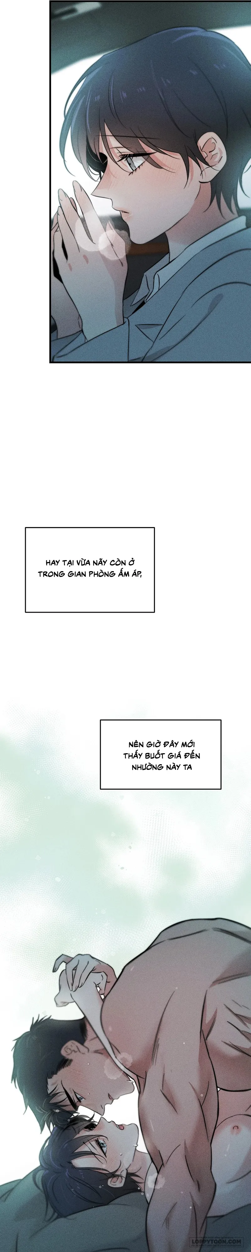 Những Ngày Cỏ Ba Lá Chap 11 - trang 24