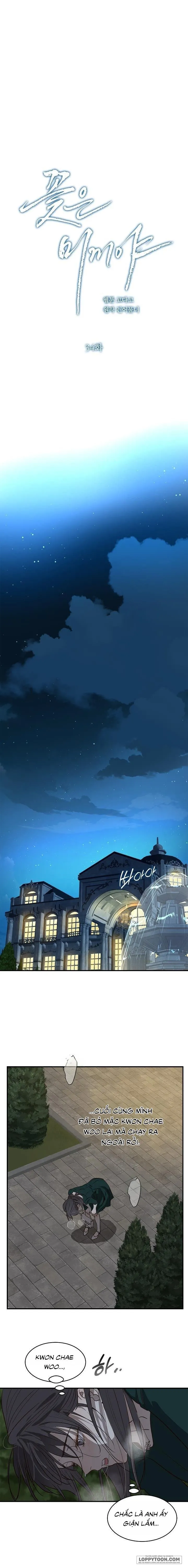 Đóa Hoa Là Mồi Nhử Chap 34 - trang 17