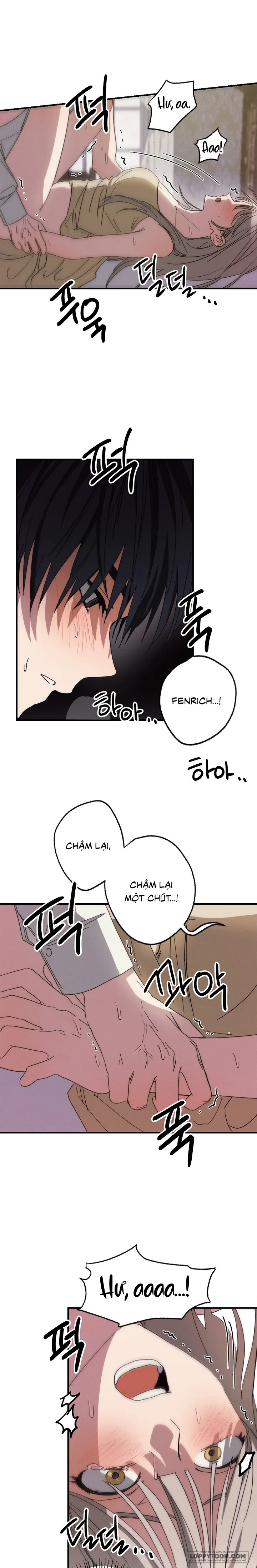 Lời Tuyên Thệ Của Loài Sói Chap 4 - H+ - trang 4