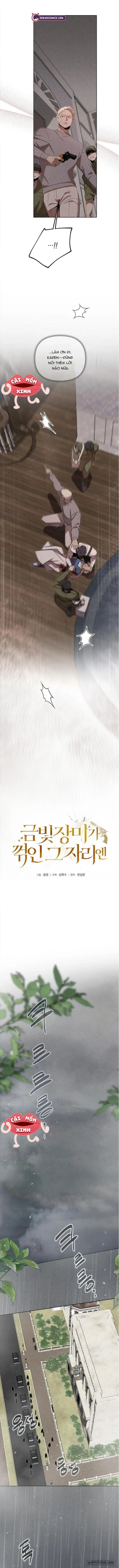 Nơi Đóa Hồng Vàng Úa Tàn Chap 16 - trang 3