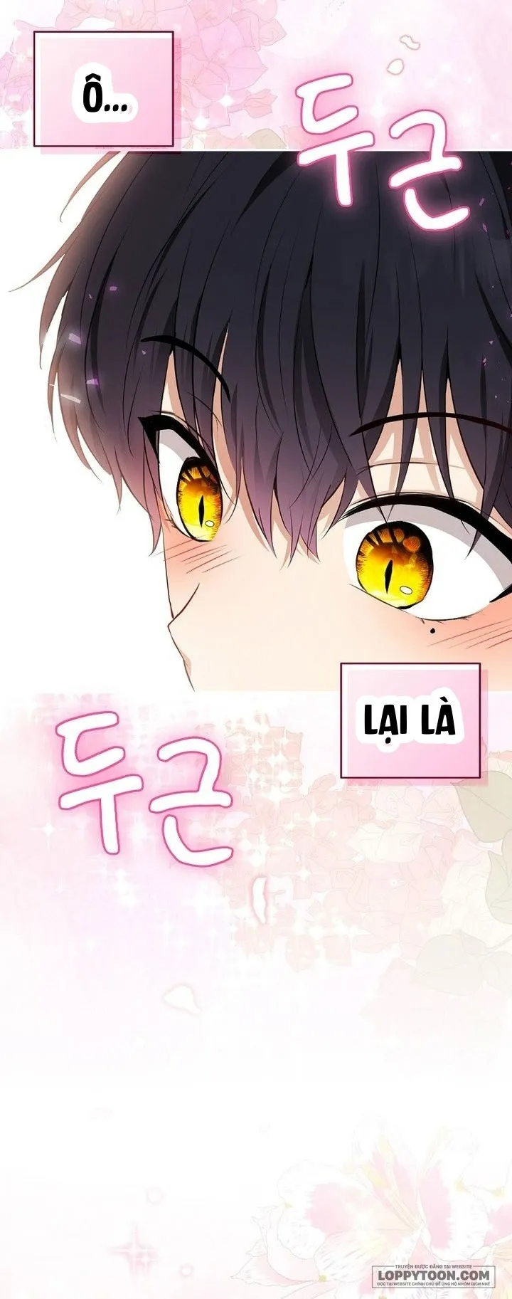 Sóc Con Tài Năng Chap 68 - trang 42