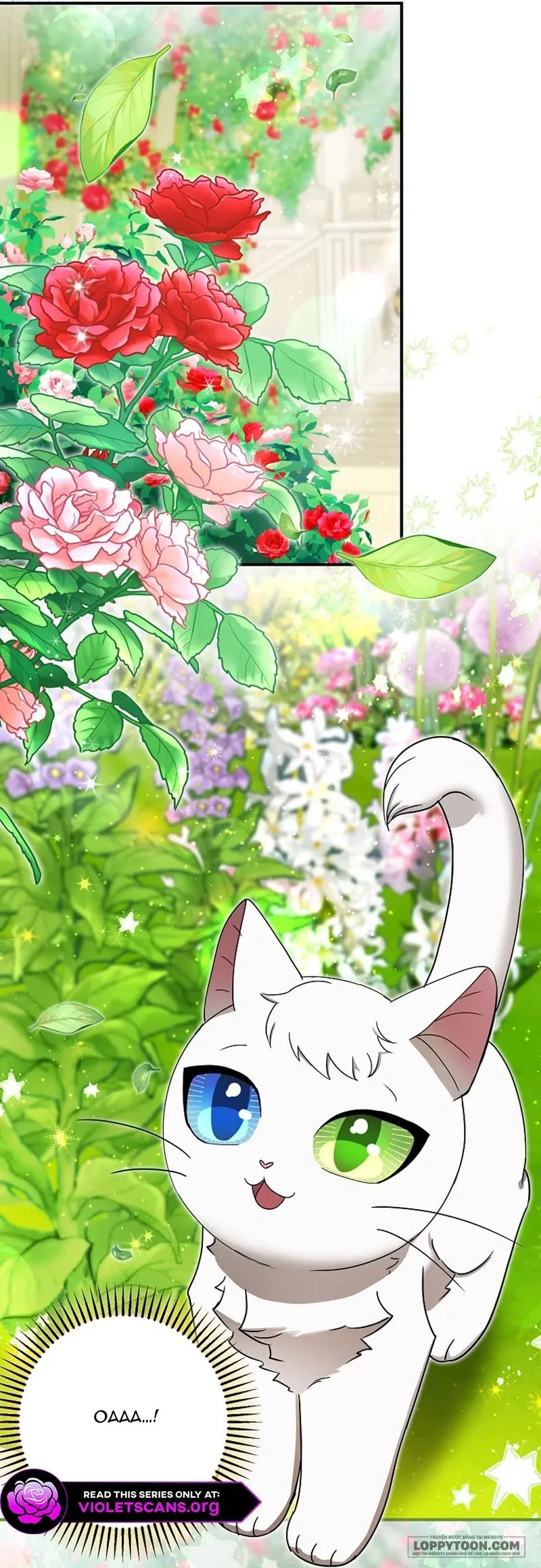 Trở Thành Miêu Nữ Của Hoàng Đế Chap 84 - end ngoại truyện - trang 28