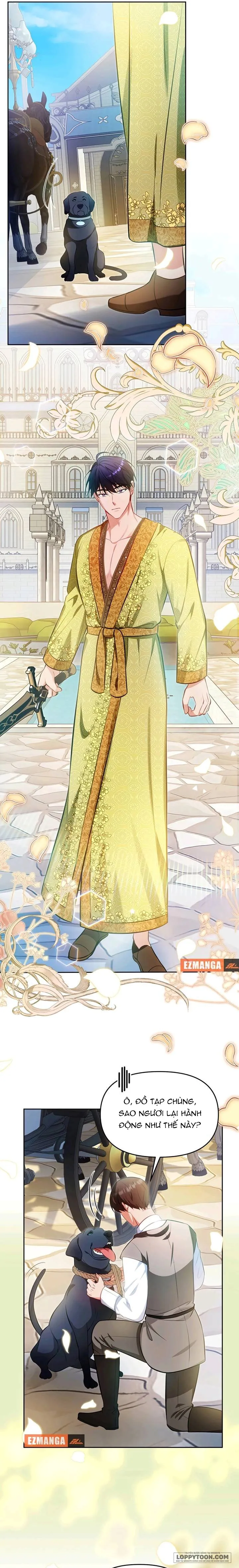 Khi Người Chồng Cũ Của Tôi Đòi Tái Hợp Chap 25 - trang 15